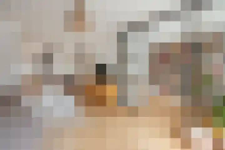 Donker Curtiusstraat 18 2 Amsterdam thumbnail 7