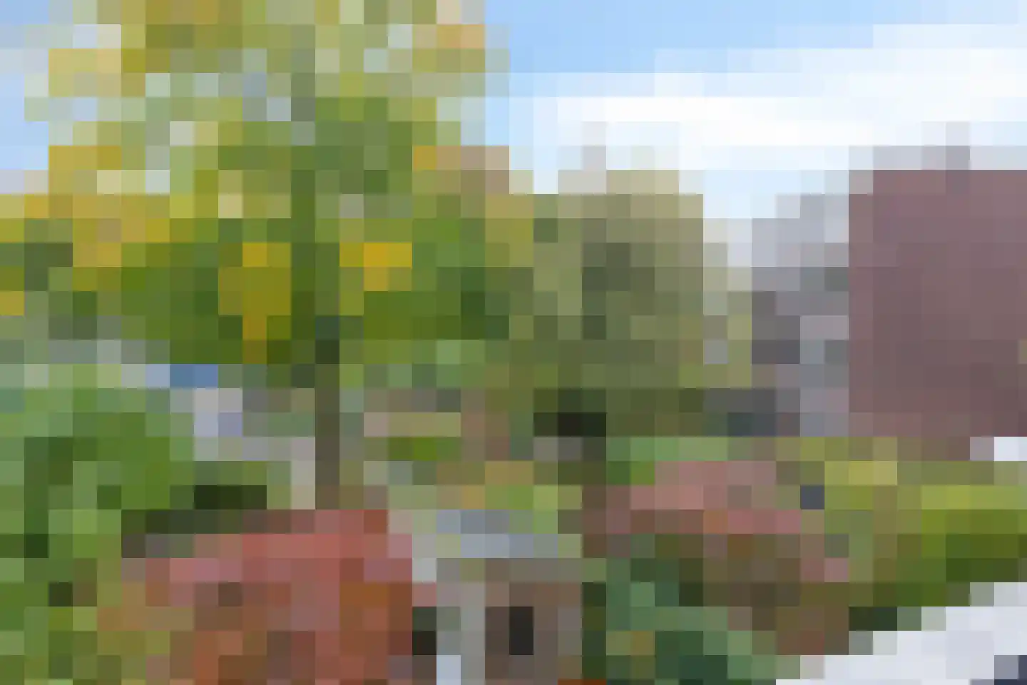 Donker Curtiusstraat 20 A Rotterdam thumbnail 21