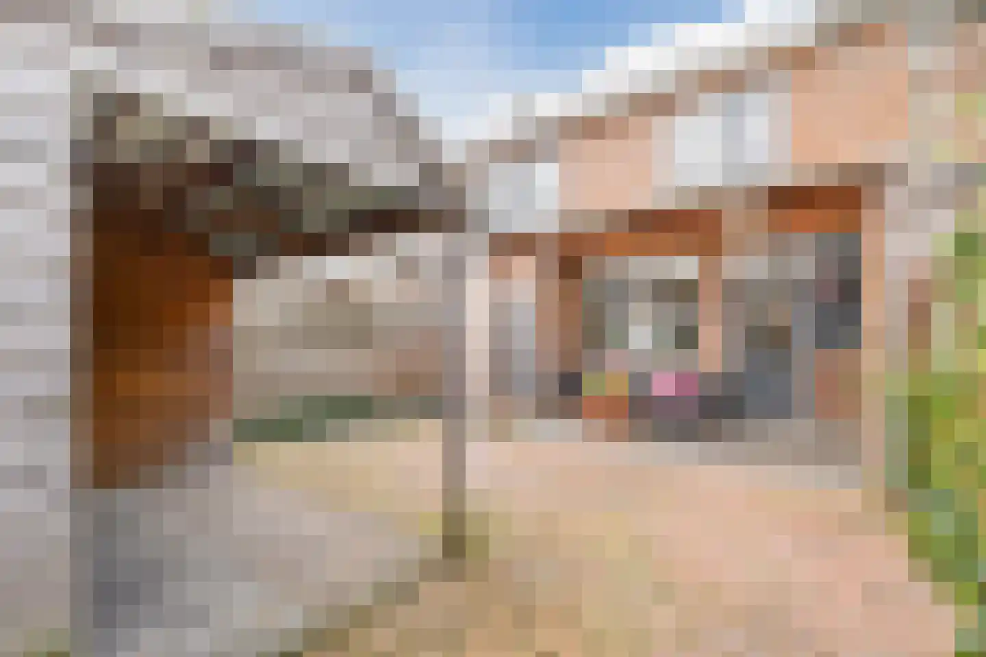 Donker Curtiusstraat 20 Meppel thumbnail 27