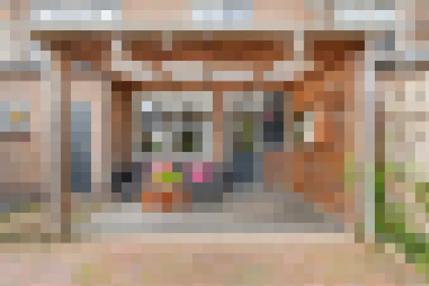 Donker Curtiusstraat 20 Meppel thumbnail 28
