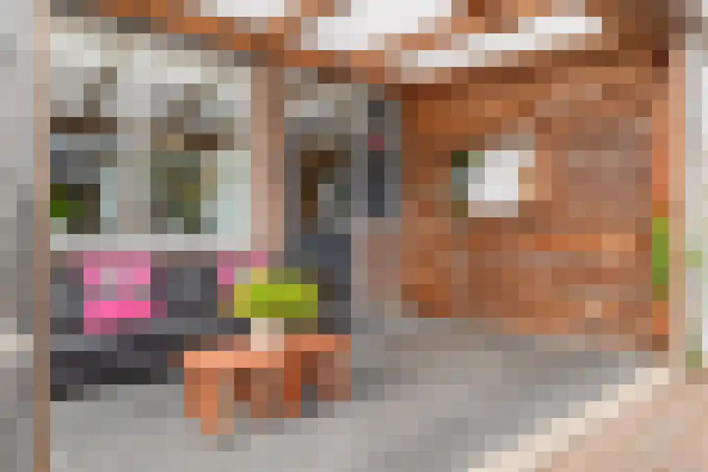 Donker Curtiusstraat 20 Meppel thumbnail 29