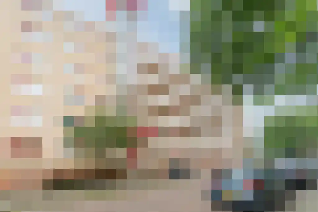 Donker Curtiusstraat 204 Den Haag thumbnail 5