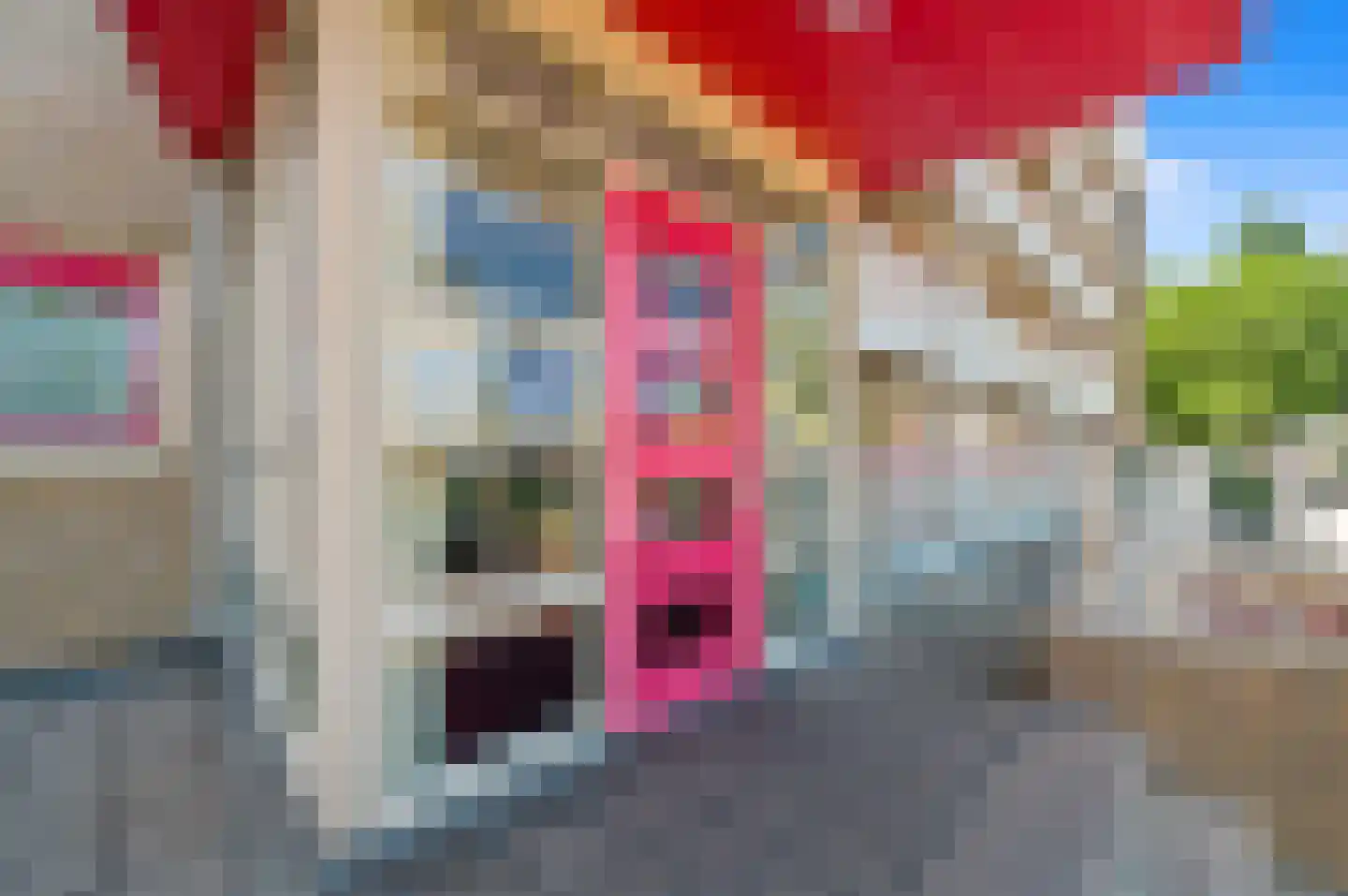 Donker Curtiusstraat 206 Den Haag thumbnail 4