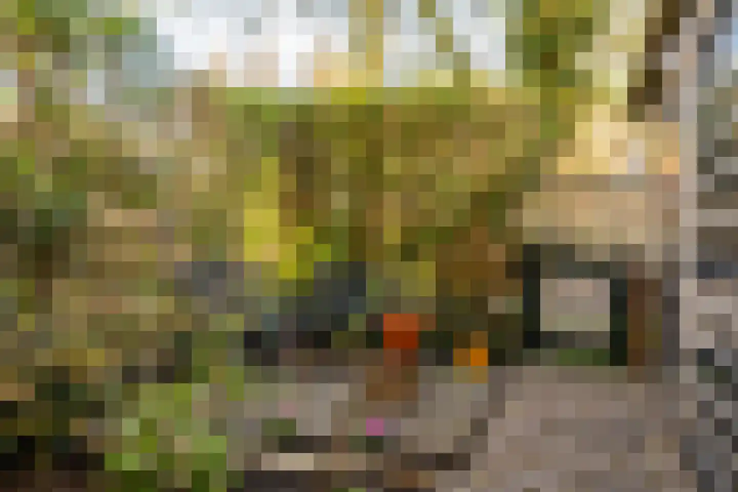 Donker Curtiusstraat 24 B 01 Rotterdam thumbnail 46