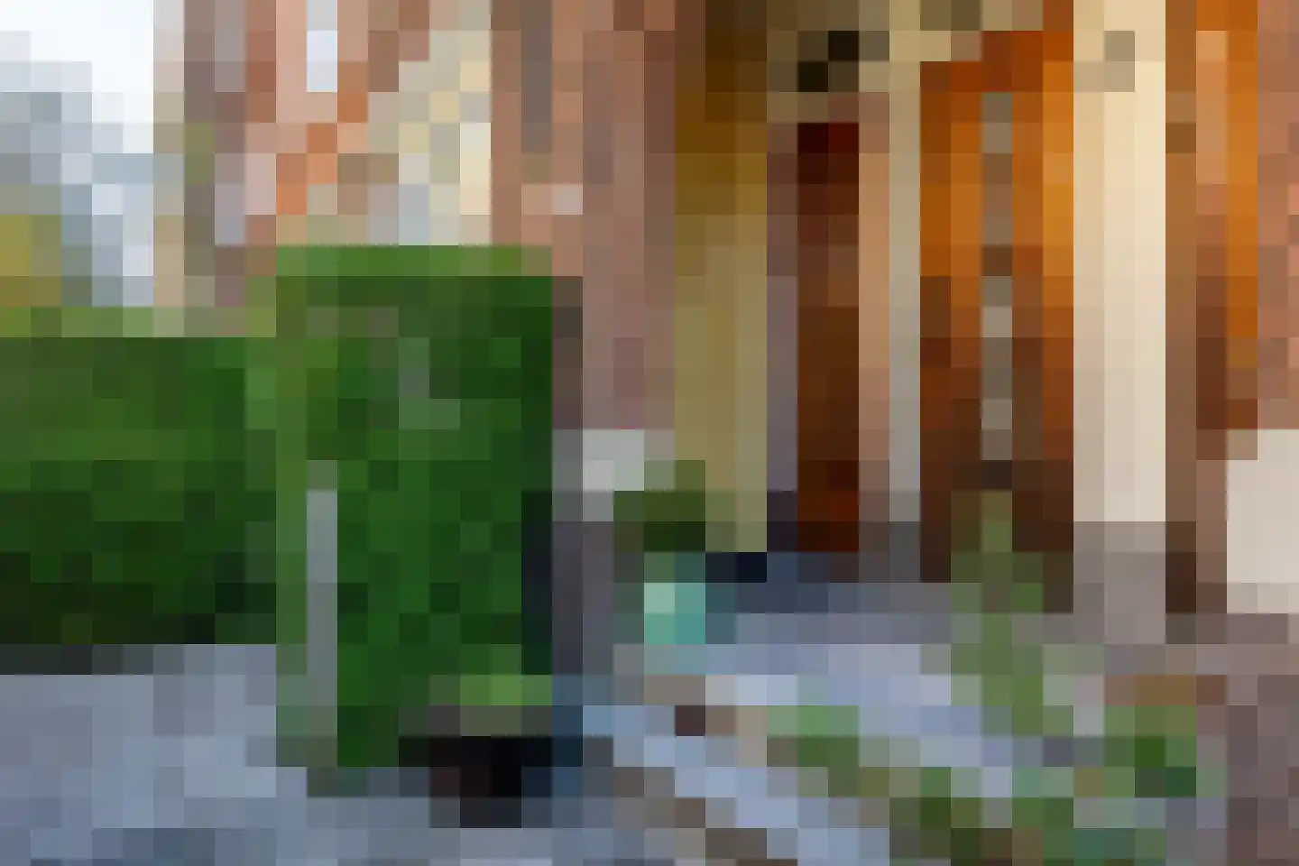 Donker Curtiusstraat 24 B 01 Rotterdam thumbnail 48