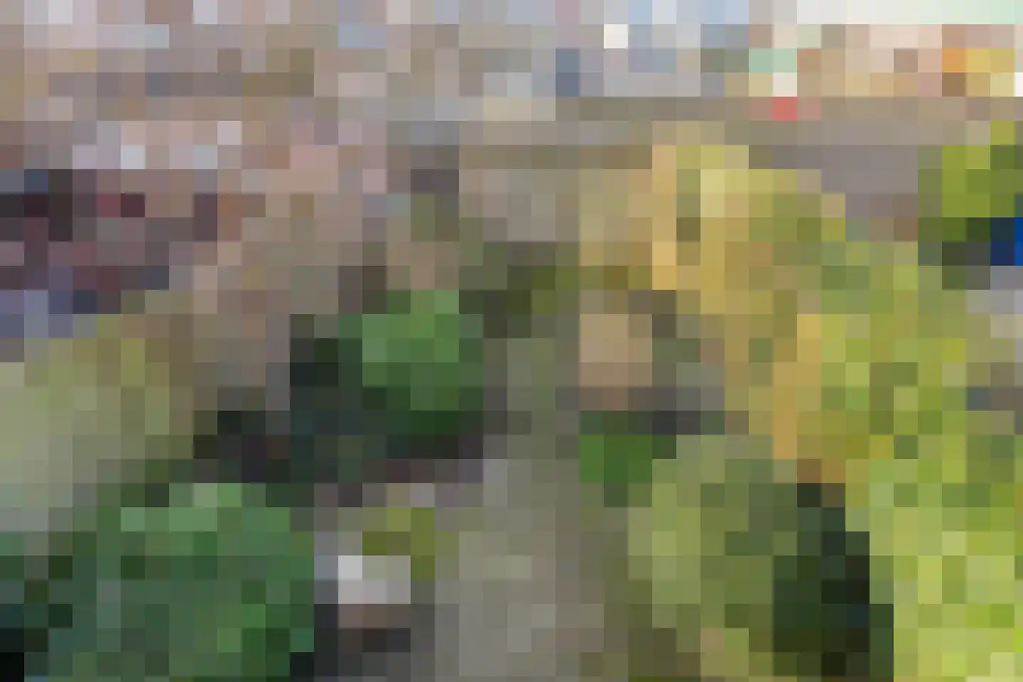 Donker Curtiusstraat 35 Wassenaar thumbnail 14