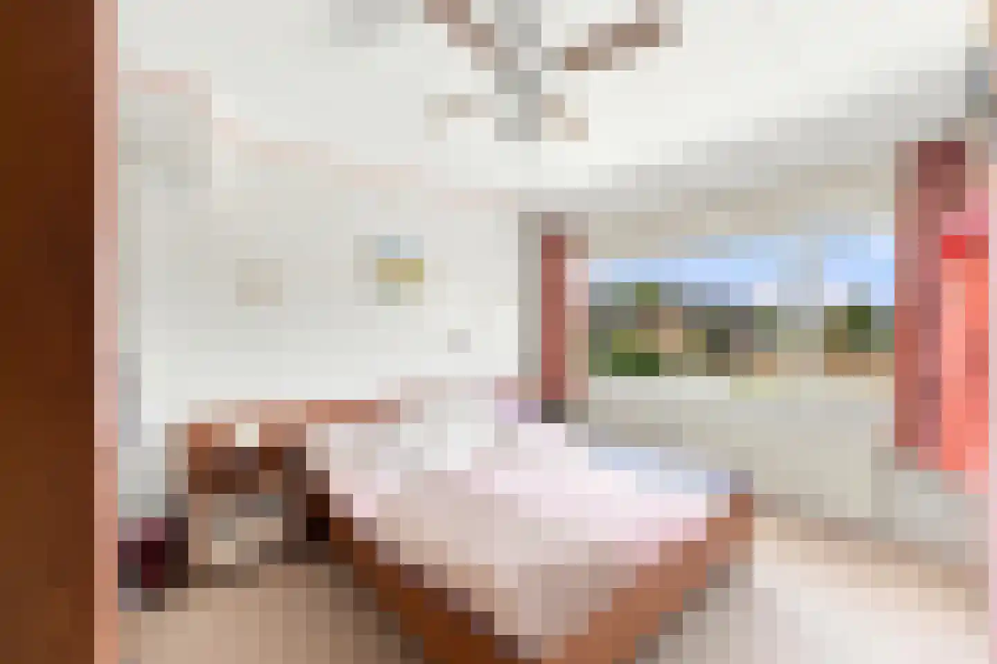 Donker Curtiusstraat 4 Vlissingen thumbnail 26