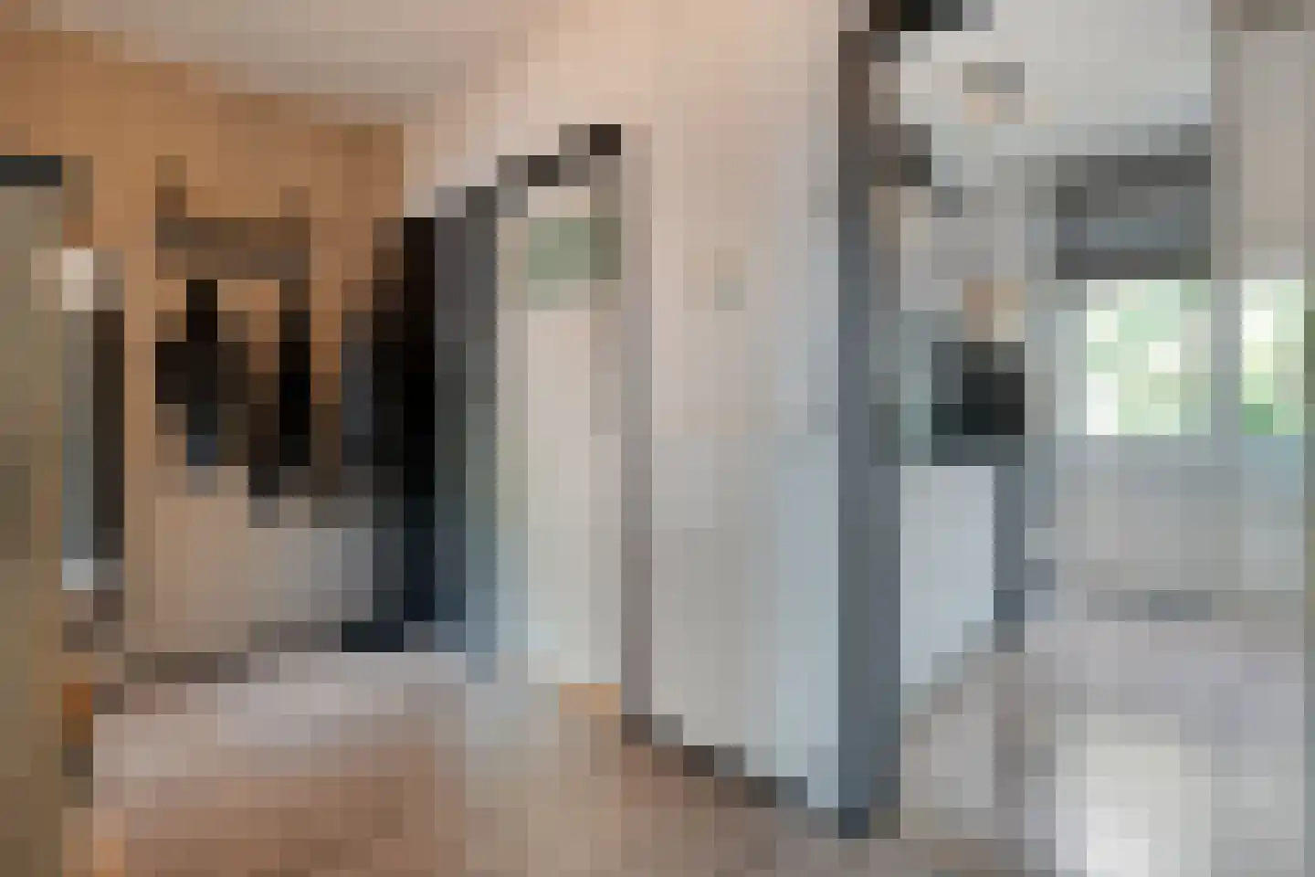 Donker Curtiusstraat 66 Meppel thumbnail 13