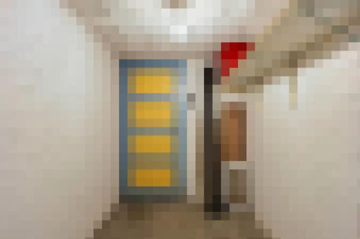 Donker Curtiusstraat 66 Meppel thumbnail 38