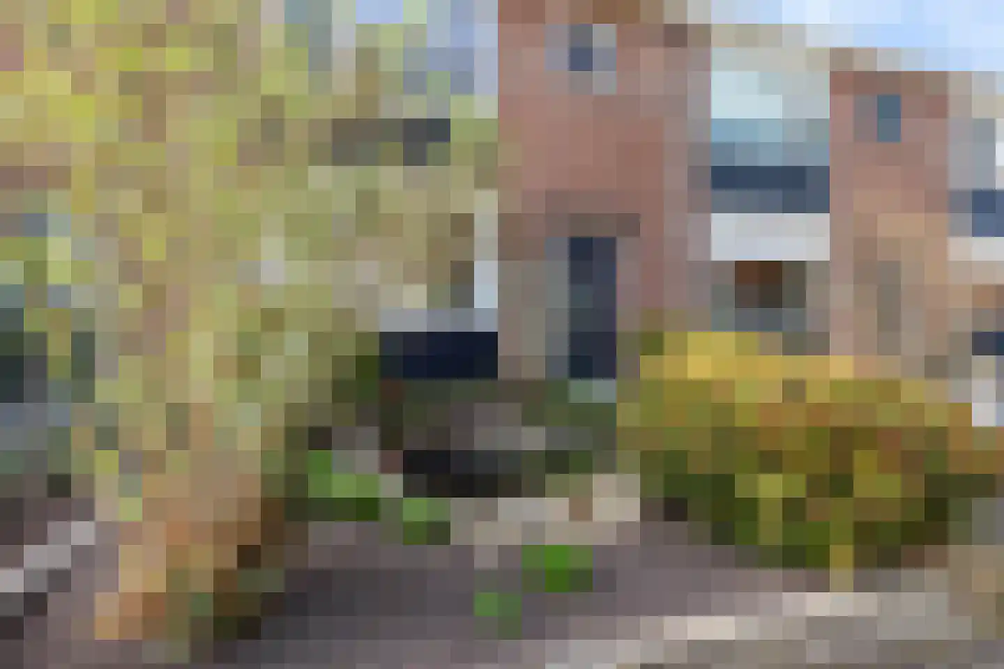 Donker Curtiusstraat 8 Apeldoorn thumbnail 34