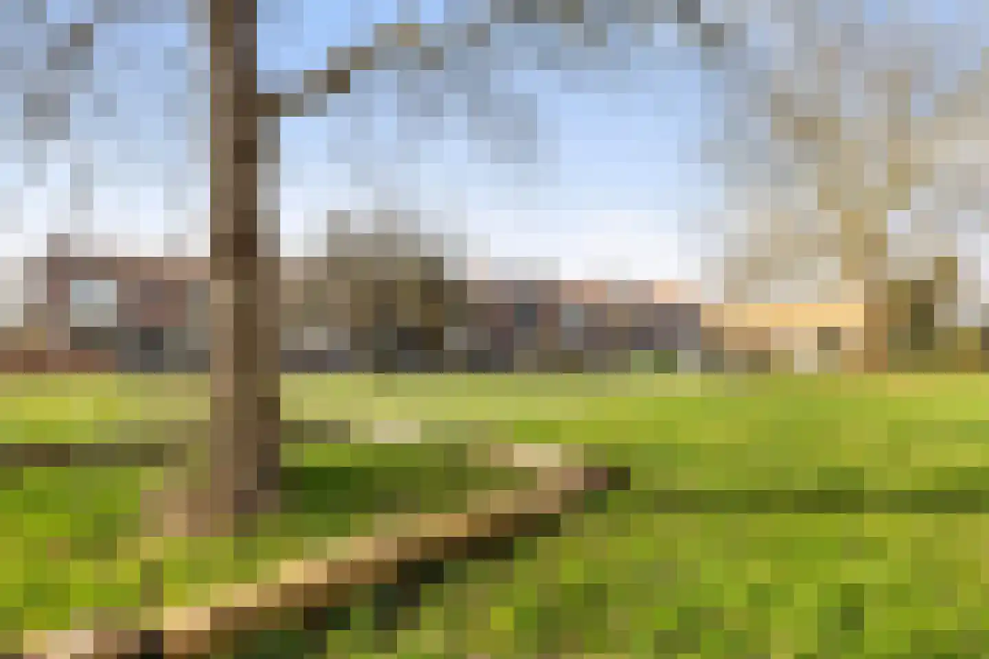 Donker Curtiusstraat 8 Apeldoorn thumbnail 35