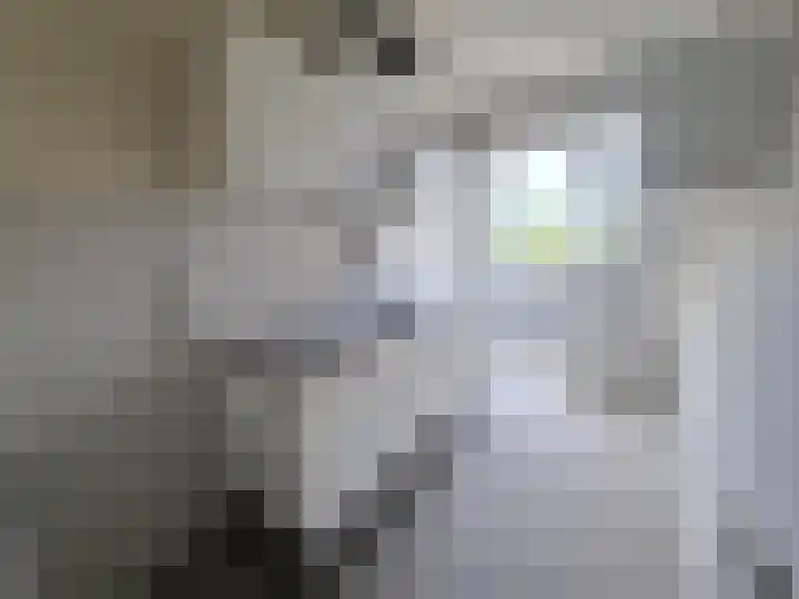 Donker Curtiusstraat 9 Dordrecht thumbnail 4