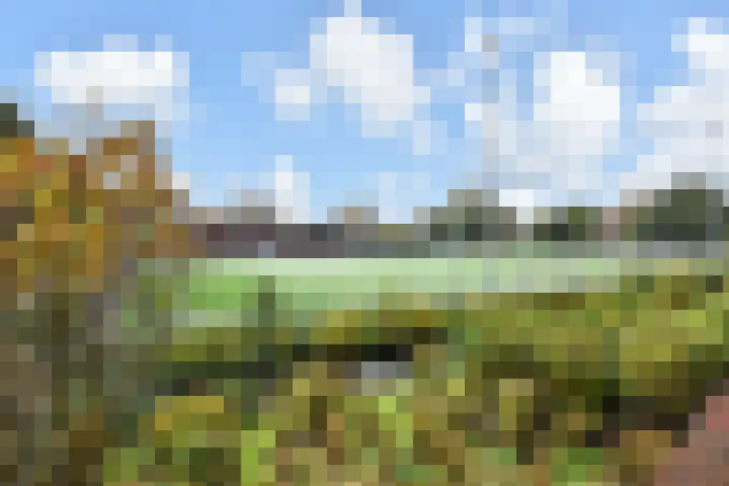 Donker Curtiusstraat 94 Den Haag thumbnail 15