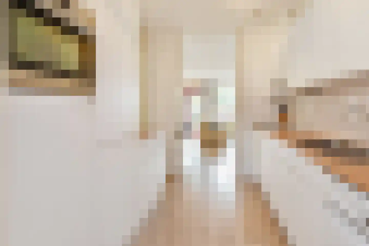 Donker Curtiusstraat 94 Den Haag thumbnail 16