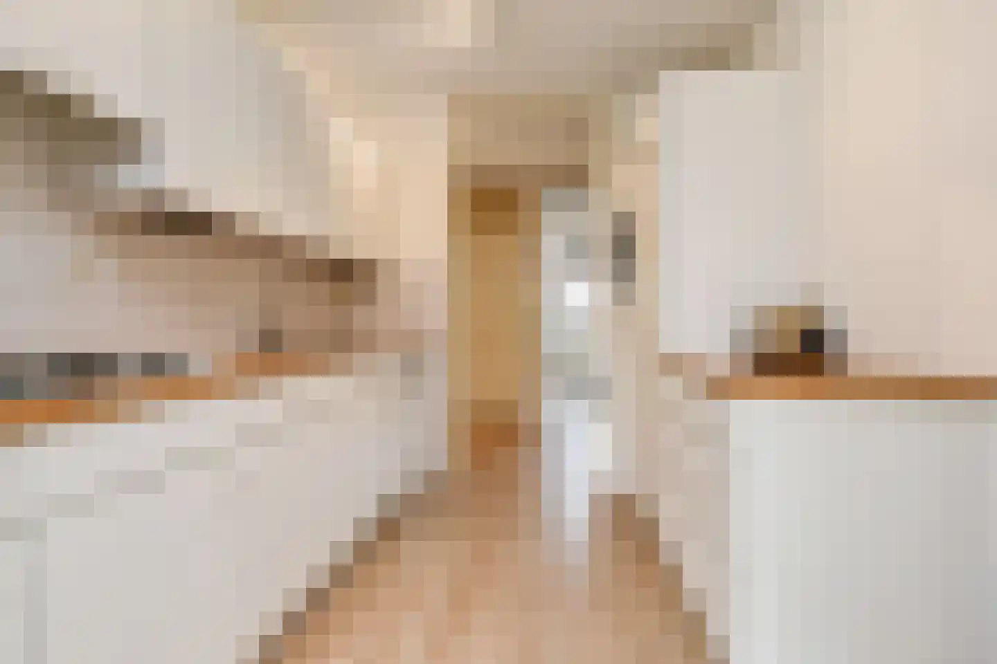 Donker Curtiusstraat 94 Den Haag thumbnail 17