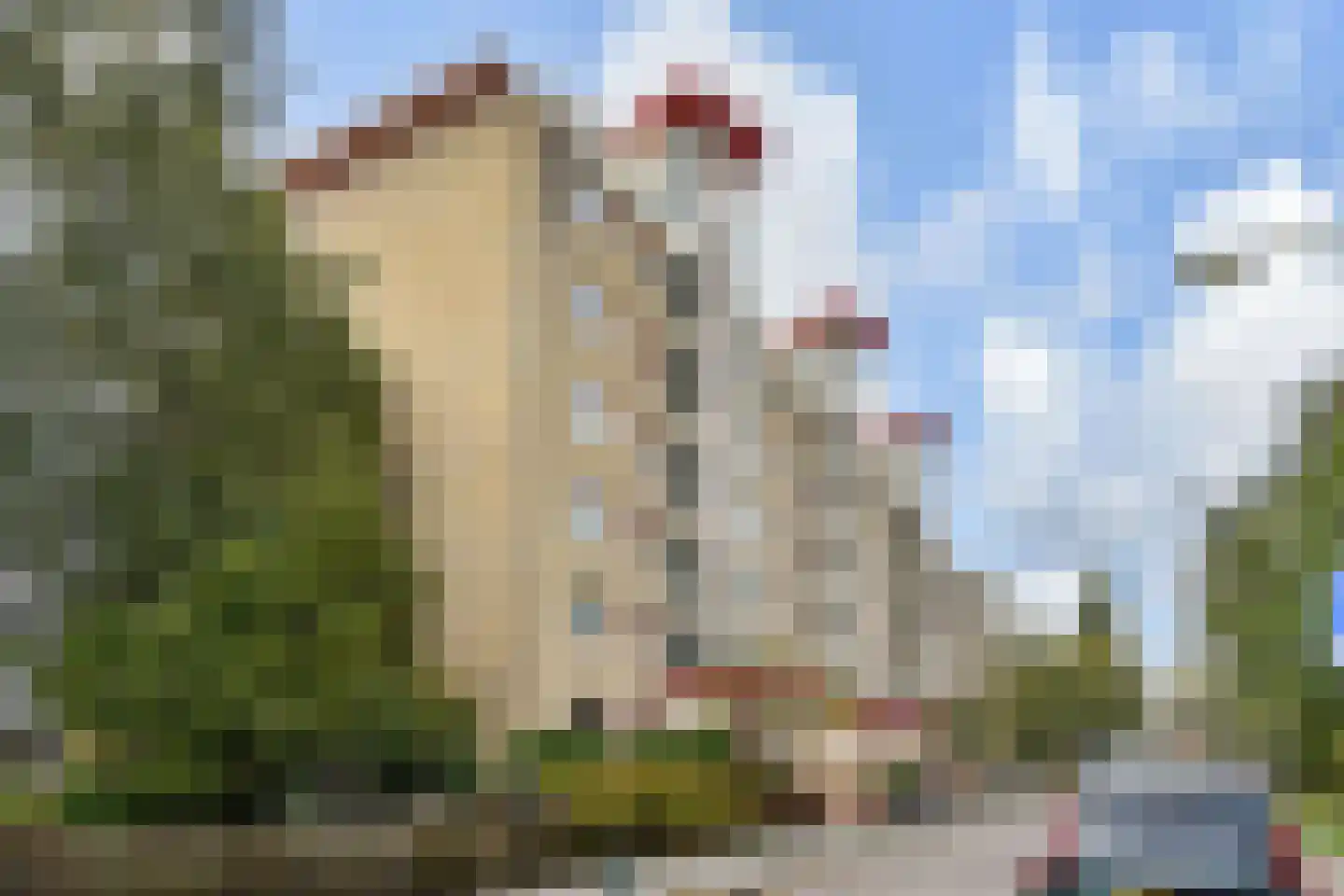 Donker Curtiusstraat 94 Den Haag thumbnail 29