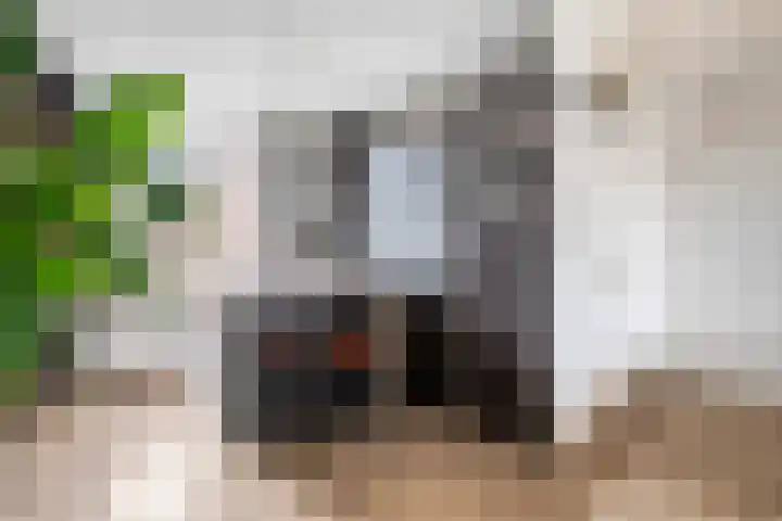 Donker Curtiusware 32 Zwolle thumbnail 10