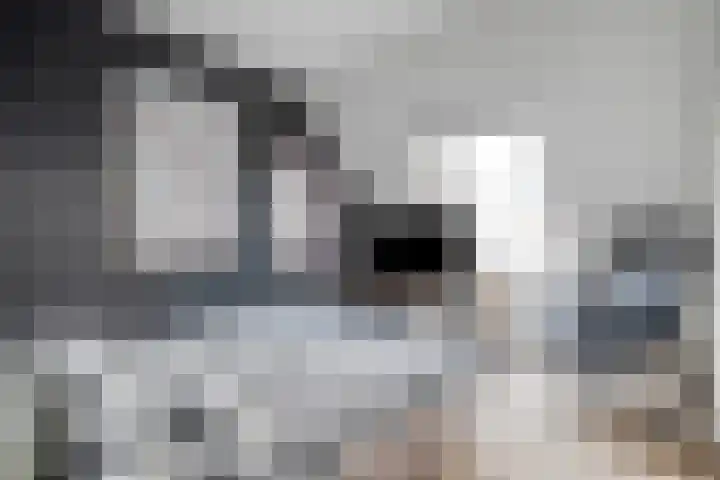 Donker Curtiusware 32 Zwolle thumbnail 19