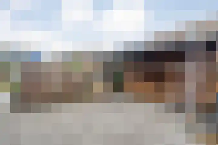 Donker Curtiusware 32 Zwolle thumbnail 33