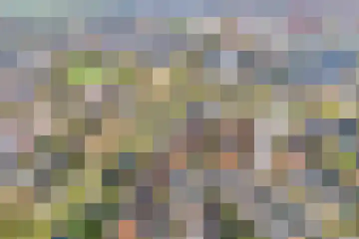 Donker Curtiusware 32 Zwolle thumbnail 4