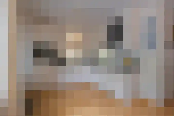 Donkerbos 11 Alphen thumbnail 14