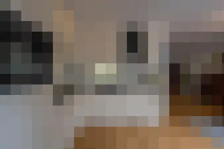 Donkerbos 11 Alphen thumbnail 19