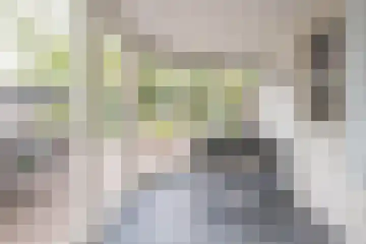 Donkerbos 11 Alphen thumbnail 21