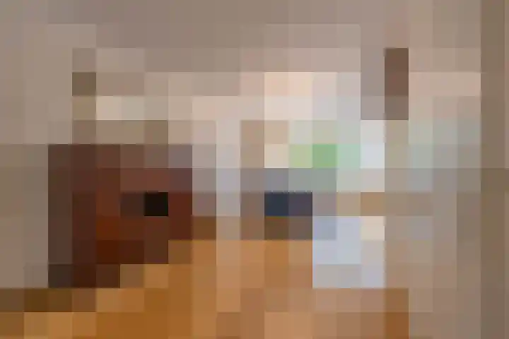 Donkerbos 11 Alphen thumbnail 24