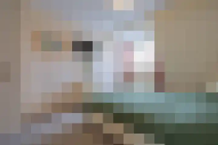 Donkerbos 11 Alphen thumbnail 30
