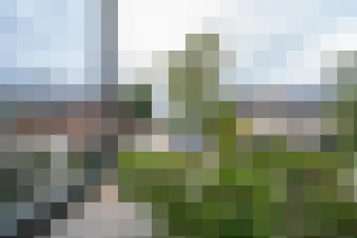 Donkerbos 11 Alphen thumbnail 31