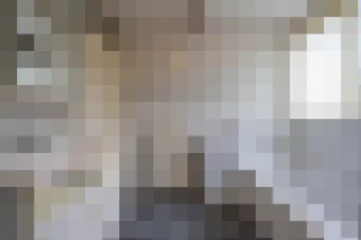 Donkerbos 11 Alphen thumbnail 37