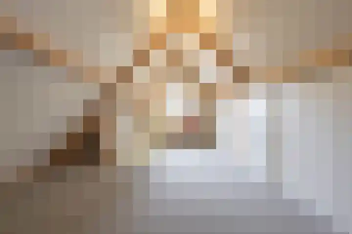 Donkerbos 11 Alphen thumbnail 39