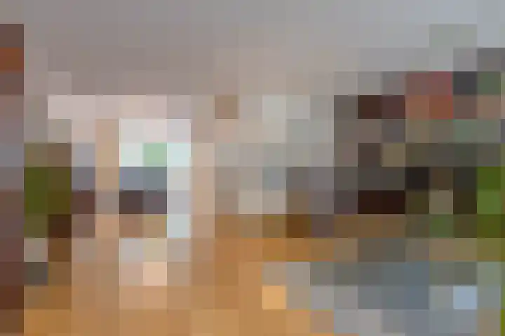 Donkerbos 11 Alphen thumbnail 4