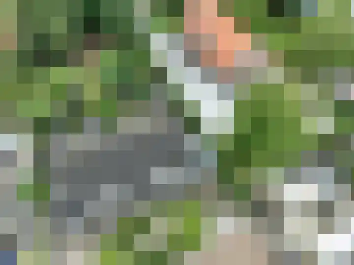 Donkerbos 11 Alphen thumbnail 41