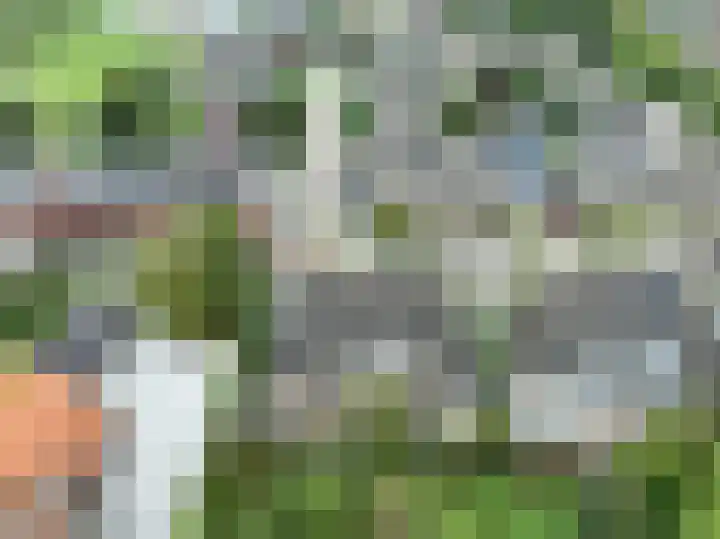 Donkerbos 11 Alphen thumbnail 42