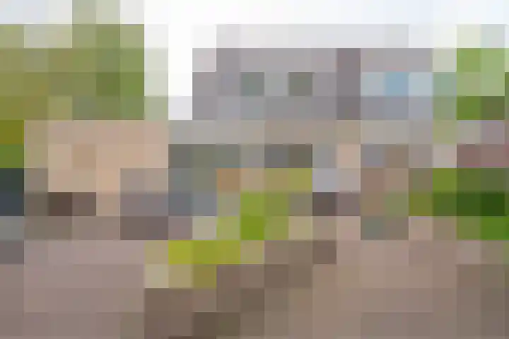 Donkerbos 11 Alphen thumbnail 43