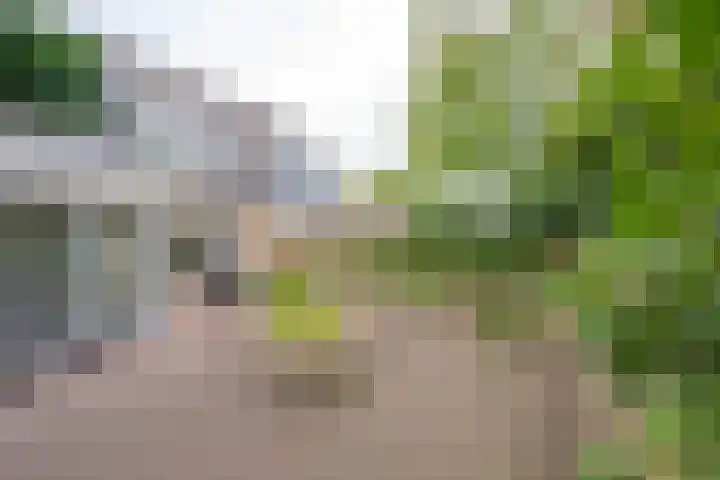 Donkerbos 11 Alphen thumbnail 45