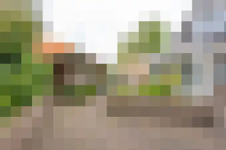 Donkerbos 11 Alphen thumbnail 46