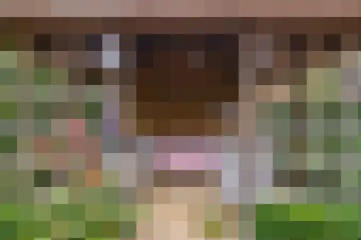 Donkerbos 11 Alphen thumbnail 47