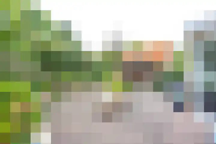 Donkerbos 11 Alphen thumbnail 49