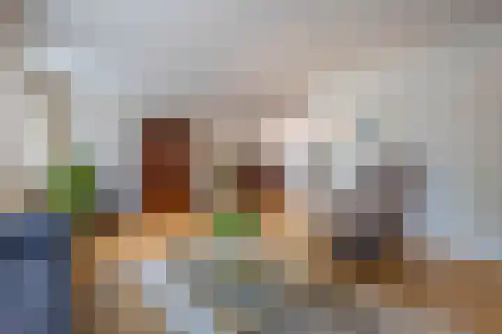 Donkerbos 11 Alphen thumbnail 5
