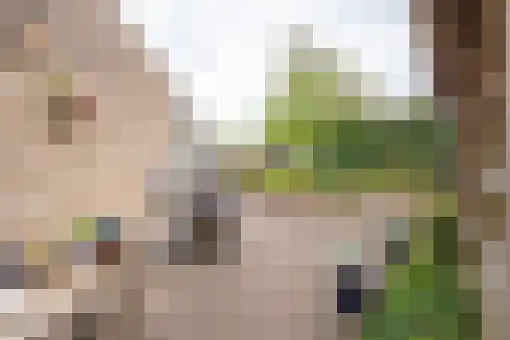 Donkerbos 11 Alphen thumbnail 51