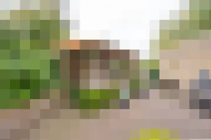 Donkerbos 11 Alphen thumbnail 52