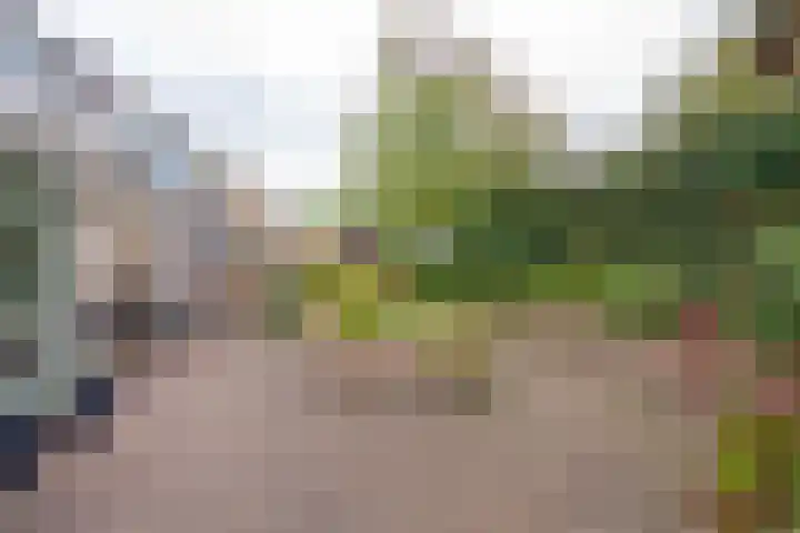 Donkerbos 11 Alphen thumbnail 53