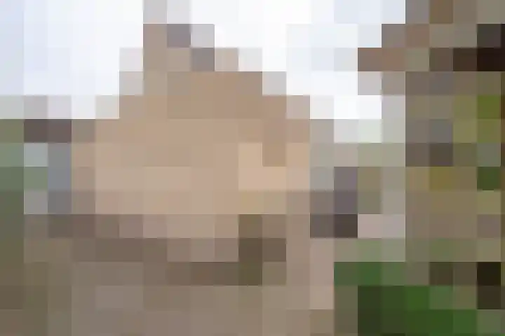 Donkerbos 11 Alphen thumbnail 54