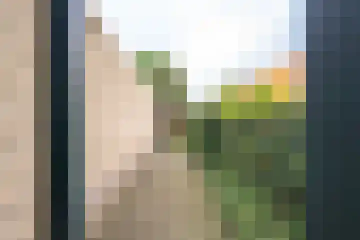 Donkerbos 11 Alphen thumbnail 55