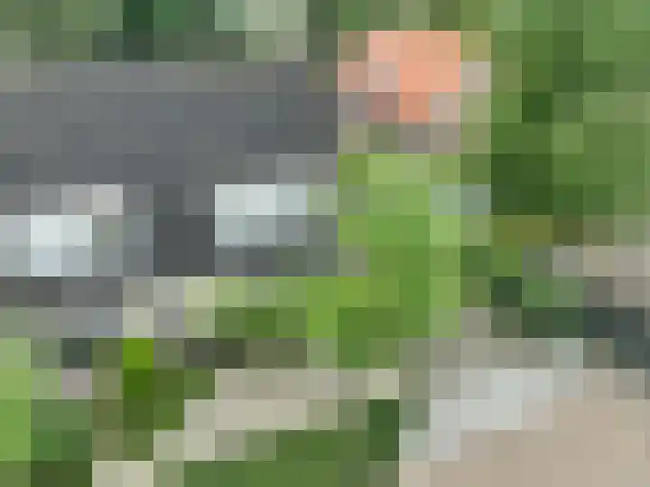 Donkerbos 11 Alphen thumbnail 56