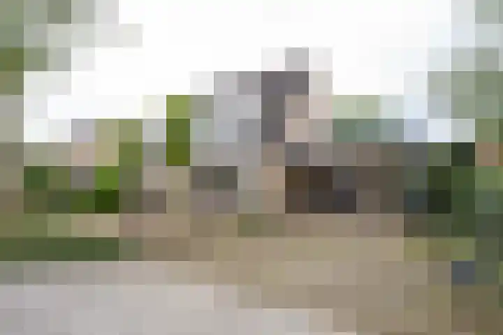 Donkerbos 11 Alphen thumbnail 57