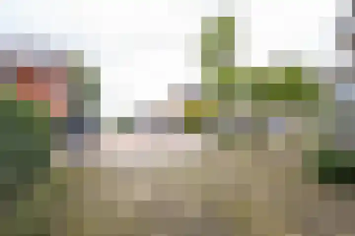 Donkerbos 11 Alphen thumbnail 58