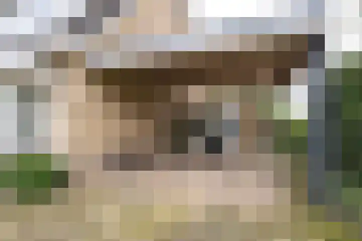 Donkerbos 11 Alphen thumbnail 59